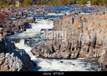 Potomac River Nationalpark Great Falls, Virginia Stockfoto