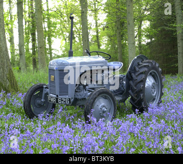 Ein 1948 Ferguson TEA Traktor arbeiten noch in Sussex. Bekannt als ein wenig grau Fergy (Fergie) von Harry Ferguson entworfen wurde Stockfoto