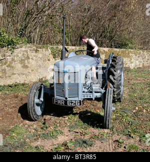 Ein 1948 Ferguson TEA Traktor arbeiten noch in Sussex. Bekannt als ein wenig grau Fergy (Fergie) von Harry Ferguson entworfen wurde Stockfoto