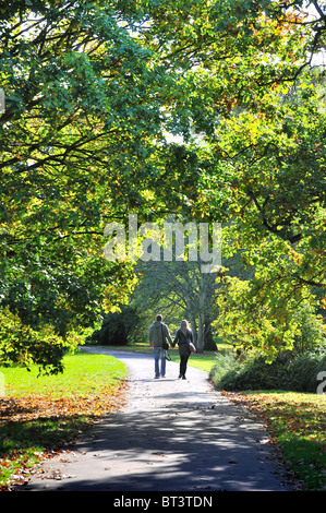 Paare, die Hand in Hand in einem herbstlichen park Stockfoto