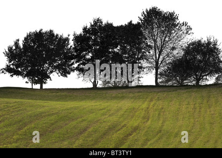 Kreative Himmel Ausschnitt mit Bäumen auf einem Hügel Stockfoto