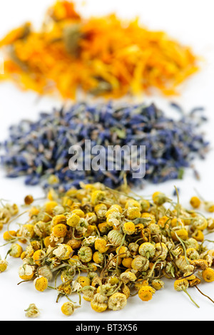 Haufen von getrockneten Heilpflanzen Kamille, Lavendel, Ringelblume auf weißem Hintergrund Stockfoto