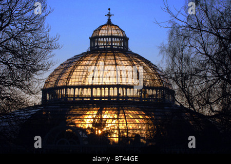 Sonnenuntergang hinter dem Palmenhaus in Liverpool Sefton Park. Stockfoto