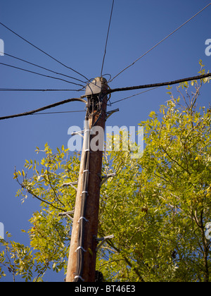 British Telecom Telegrafenmast für obenliegende Telefonleitungen verwendet. Stockfoto