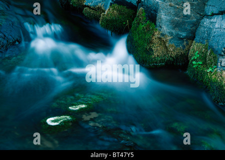 Nahaufnahme der Fluss Bach im Gebirgsfluss mit Moos auf den Steinen Stockfoto