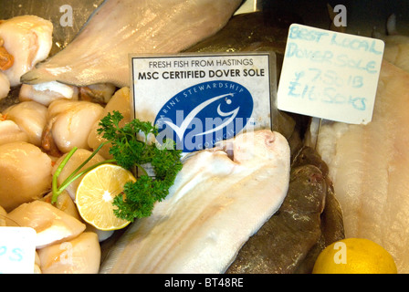 Hastings Frischfisch Marine Stewardship Council MSC zertifiziert nachhaltigen Dover sole zum Verkauf an Rock-a-Nore Fischerei Hastings Stockfoto