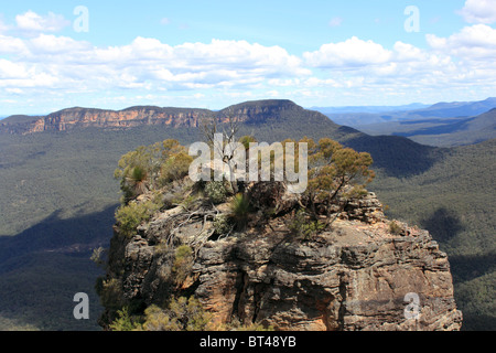 Spitze der drei Schwestern und Jamison Valley über Blue Mountains National Park, New-South.Wales, Ost-Australien, Australien Stockfoto