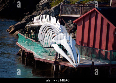 Kanada, Neufundland und Labrador, Twillingate. Erstklassige historische Angelzentrum Liegeplatz & Kabeljau Fischereimuseum. Stockfoto