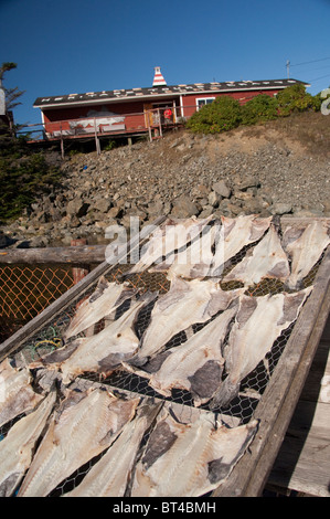 Kanada, Neufundland und Labrador, Twillingate. Erstklassige historische Angelzentrum Liegeplatz. Gesalzener Kabeljau Fisch Trocknen auf Rack. Stockfoto