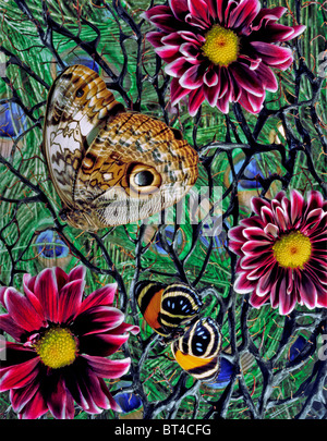 Schmetterling, Nachtfalter, Pfauenfedern & Blumen Stockfoto