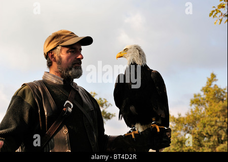 Männer tragen einen Weißkopfseeadler auf seinem Arm. Stockfoto