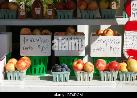 Honigkrisp Äpfel & andere Früchte zum Verkauf am Roadside Farm Stand Michigan USA, von James D Coppinger/Dembinsky Photo Assoc Stockfoto