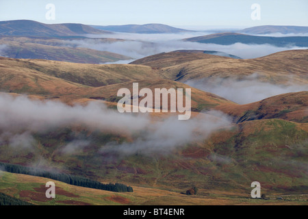 Morgennebel in den Tälern nördlich von Ettrick Stift, Southern Uplands, Schottland Stockfoto