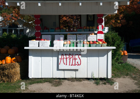 HoneyCrisp Äpfel zum Verkauf am Roadside Farm Stand Michigan USA, von James D Coppinger/Dembinsky Photo Assoc Stockfoto