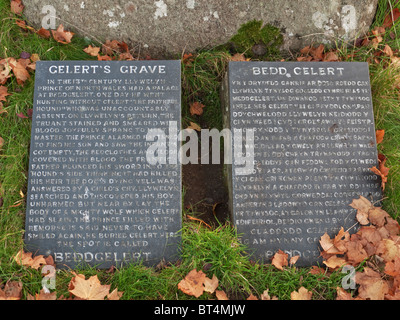 Die Geschichte von Bedd Gelert oder Gelert Grab - eine Legende rund um das Dorf Beddgelert in Gwynedd, Nordwales. Stockfoto
