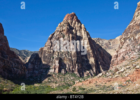 Licht des frühen Morgens auf Pine Canyon Peak bei Red Rock Conservation Area in der Nähe von Las Vegas, Nevada. Stockfoto