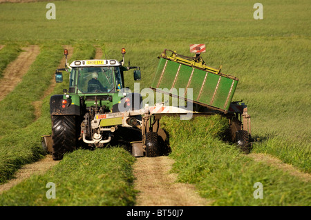 Zweiten Schnitt Rasenmähen mit vorne und hinten Rasenmäher Conditioner auf einen Fendt-Traktor montiert. Stockfoto