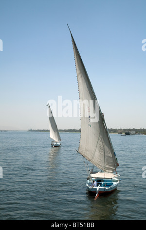 Nil Felucca; zwei Felukken, die auf dem Nil, Oberägypten, Afrika segeln Stockfoto