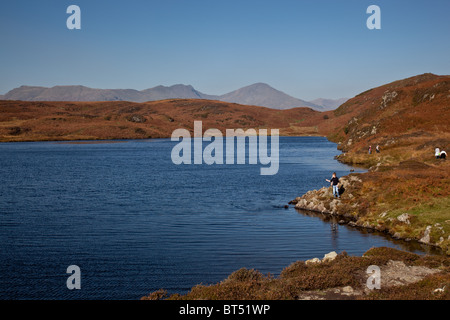 Leuchtfeuer Tarn auf Blawith Coomon in der Nähe von Torver, Coniston, Lake District, Cumbria, mit der Old Man of Coniston und Dow Crag Stockfoto