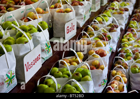 Äpfel auf dem Display für Verkauf, Eiche Glenn, Kalifornien Stockfoto