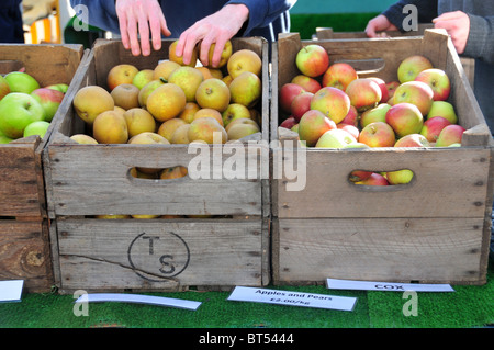 Kisten mit Äpfeln am Bauernmarkt, Deddington, Oxfordshire Stockfoto