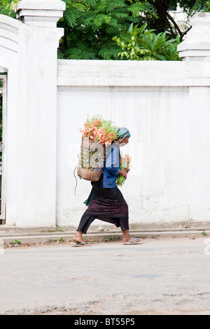 Eine Minderheit Frau Blumen kaufte sie am Morgenmarkt in Keng Tong, geht Myanmar vorbei an einer weißen Wand auf dem Heimweg Stockfoto