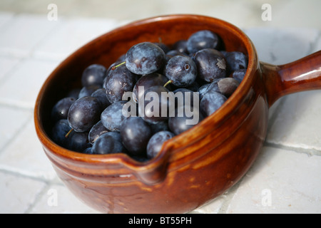 (Prunus domestica subsp. Insititia) frisch gepflückte, reife Damsons in einem braunen Keramiktopf Stockfoto