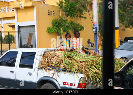 2 Jungen saßen auf Kulturpflanzen Reiten auf der Rückseite ein Pick up Truck in der Dominikanischen Republik Stockfoto