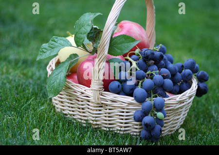 Geschmackvolle Trauben und Äpfel im Korb auf dem Rasen Stockfoto