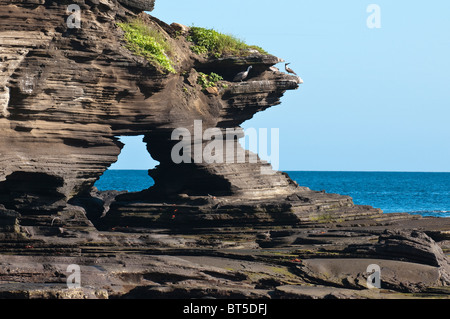 Galapagos-Inseln, Ecuador. Port-Egas (James Bay) Isla Santiago (Insel Santiago). Stockfoto