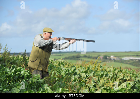 Mann, Fasane schießen Stockfoto