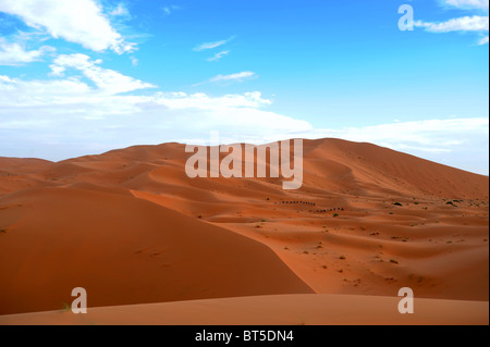 Sanddünen und Wüstenlandschaft im ersten Licht des Tages in Erg Chebbi Stockfoto