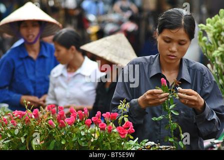 Mädchen, Verkauf von Rosen auf einem Markt in Hanoi, Vietnam Stockfoto