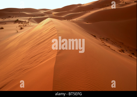 Sanddünen und Wüstenlandschaft im ersten Licht des Tages in Erg Chebbi Stockfoto