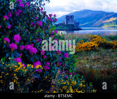 Eilean Donan Castle, Schottisches Hochland, Schottland, Vereinigtes Königreich, Orignially, 1230, Baujahr 1912, Seen Alsh, lange umgebaut und Stockfoto