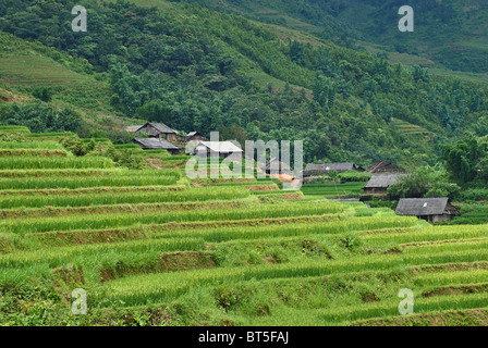 Ländliches Dorf und terrassierten Reisfelder in der Nähe von Sapa, Vietnam Stockfoto