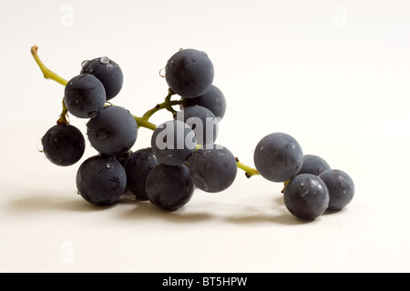 Rote Trauben, isoliert auf weiss Stockfoto