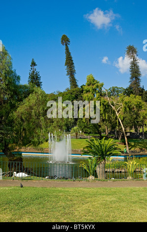 Brunnen im öffentlichen Park und Garten Parque de Santa Catarina Funchal Madeira Portugal EU Europa Stockfoto