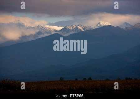 Abend-Blick auf die hohen Fagaras-Gebirge (Südkarpaten) aus dem Norden, um Moldoveanu Spitze (2544 m), Rumänien Stockfoto