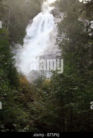 Shannon fällt in Stawamus Chief Provincial Park in British Columbia (Kanada) Stockfoto