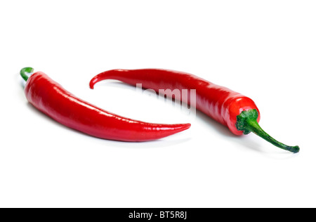 zwei rote chilly Peppers isoliert auf weißem Hintergrund Stockfoto