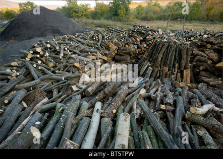 Holz-Haufen auf dem traditionellen Köhler Hof am sächsischen Dorf Viscri, Siebenbürgen, Rumänien Stockfoto