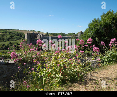 mittelalterliche Burgruine am Manorbier auf der Pembrokeshire Coast Dyfed wales Stockfoto