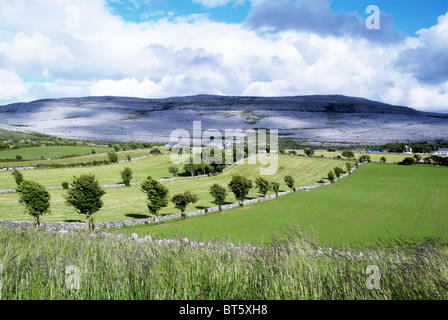 Karstlandschaft in County Clare, Irland Burren Kalkstein Pflaster in Ferne Stockfoto