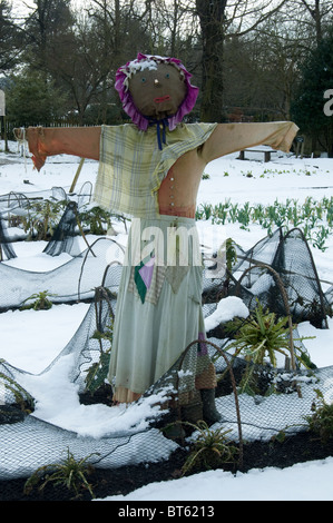 Scare Crow Stil Mühle Cheshire Winterschnee gefroren Frost Landwirtschaft, Herbst, Hintergrund, Vogel, blau, bunt, Overalls, knackig Stockfoto