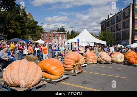 Riesige Kürbisse am Kürbisfest, Cooperstown, New York Stockfoto