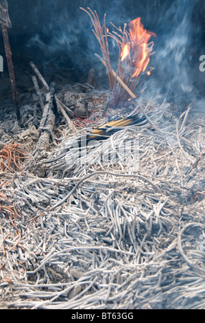 Incendere Weihrauch verbrennen Asche aromatischen biotischen Material duftenden Rauch Geruch religiösen Zeremonien, rituelle Reinigung Aromatherapie m Stockfoto