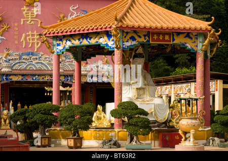 zehntausend Buddhas Pagode Tempel 10000 10 000 Kloster Man Fett AsZ Sha Tin, Hong Kong. 220 Pai Tau Dorf Siddhārtha Gautama Stockfoto