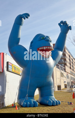 Große blaue Monster Gorilla, aufblasbare Werbung. Stockfoto