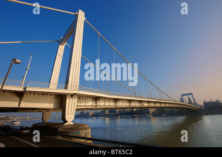 Elizabeth Hängebrücke, (Erzsébet híd). Budapest, Ungarn Stockfoto